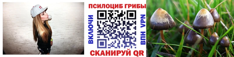 Псилоцибиновые грибы прущие грибы  Выкса 